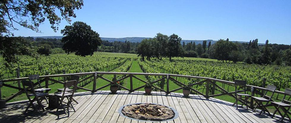 The Gladwin Brothers to Open Nutbourne Vineyard to the Public