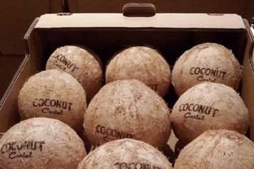 Branded Coconuts