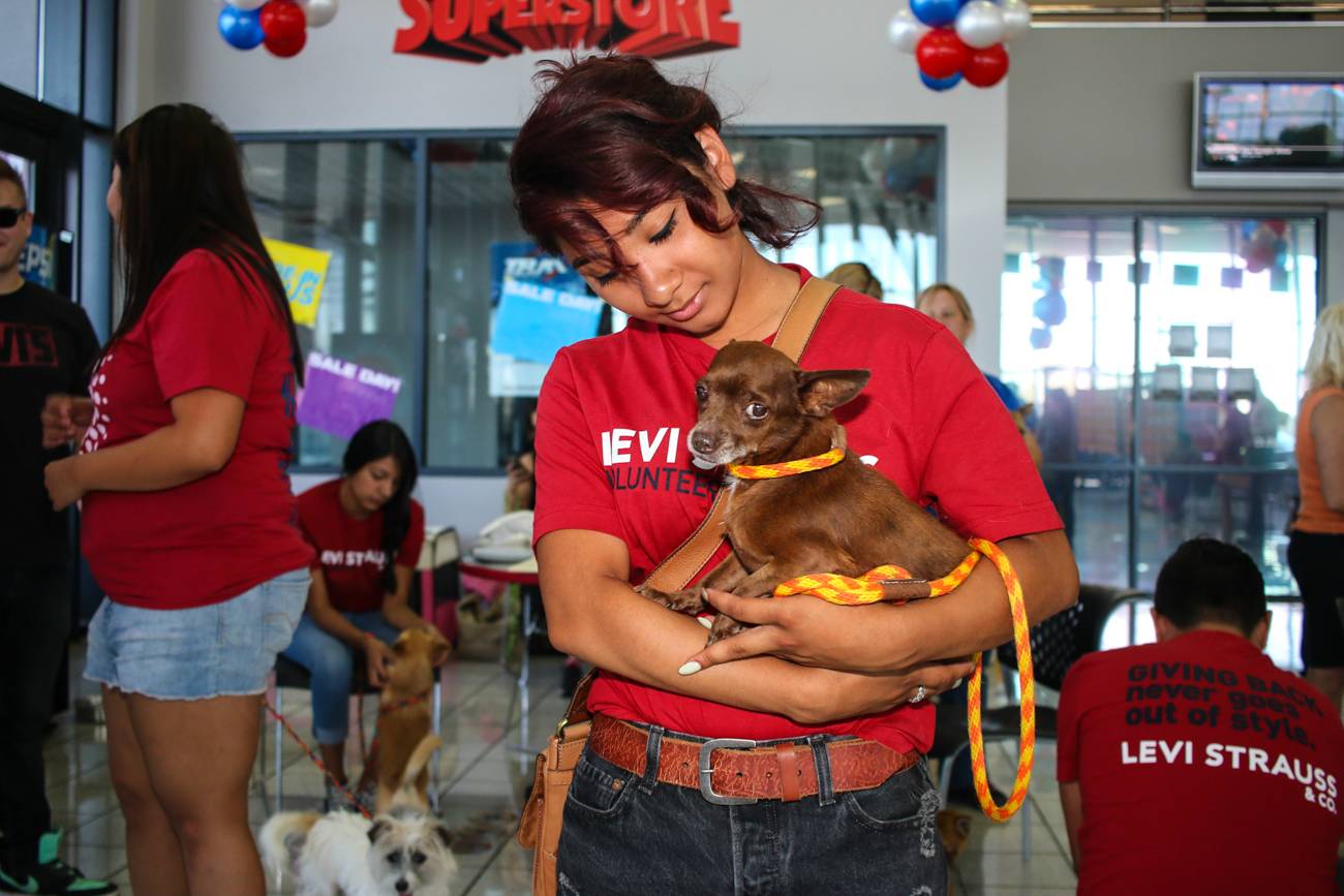 Vegas: Towbin Dodge Hosts Adoption Drive