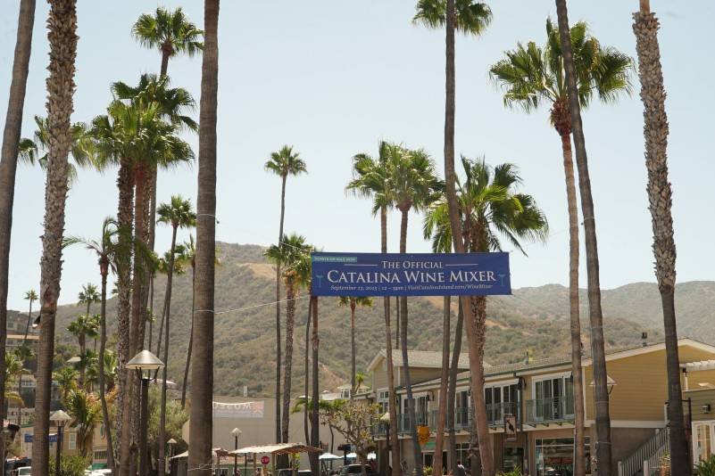 The First Annual Catalina Wine Mixer