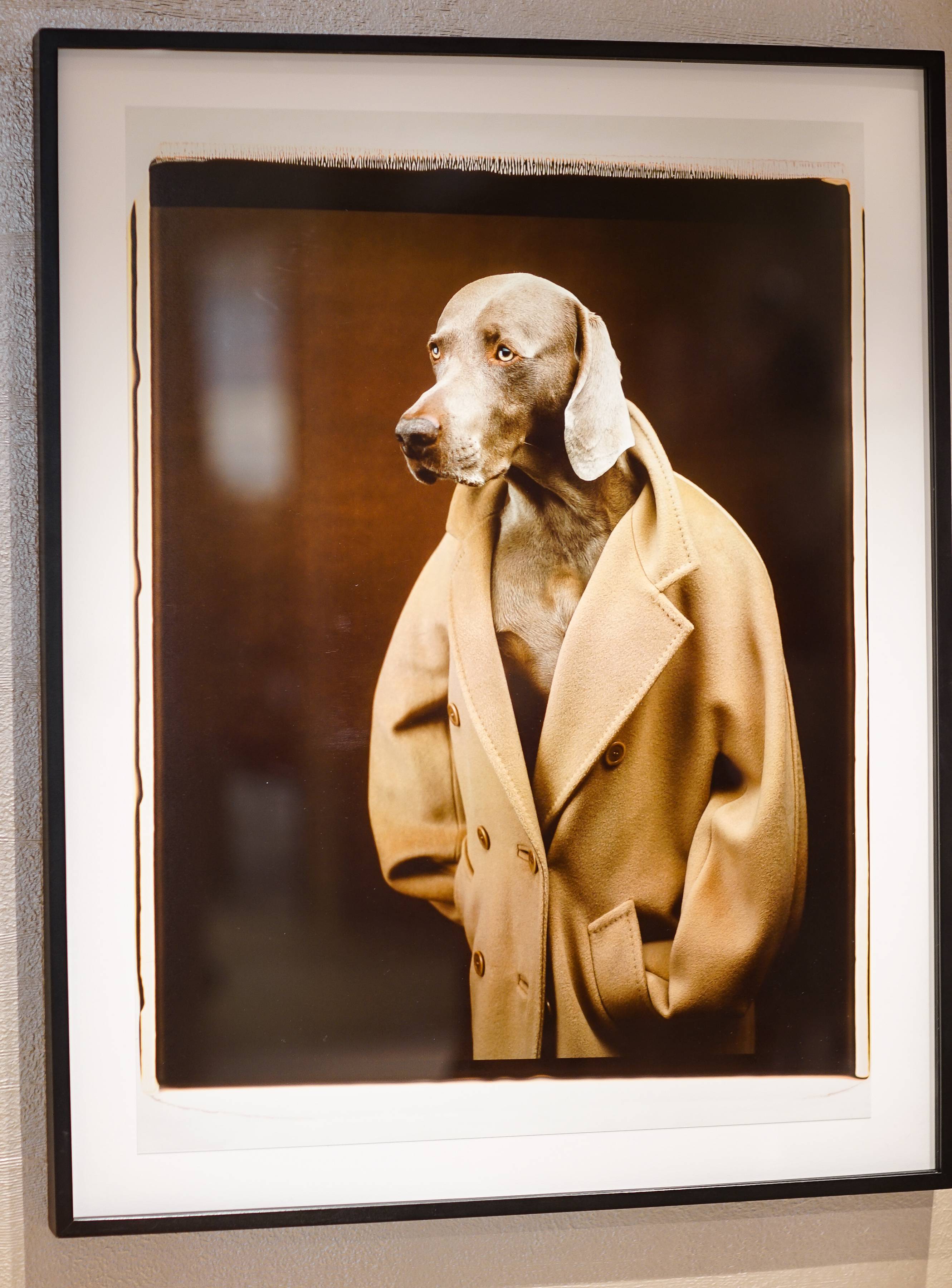 William Wegman’s Dogs in Coats