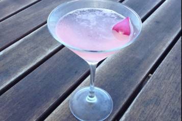 Pink Coconut Martini 3