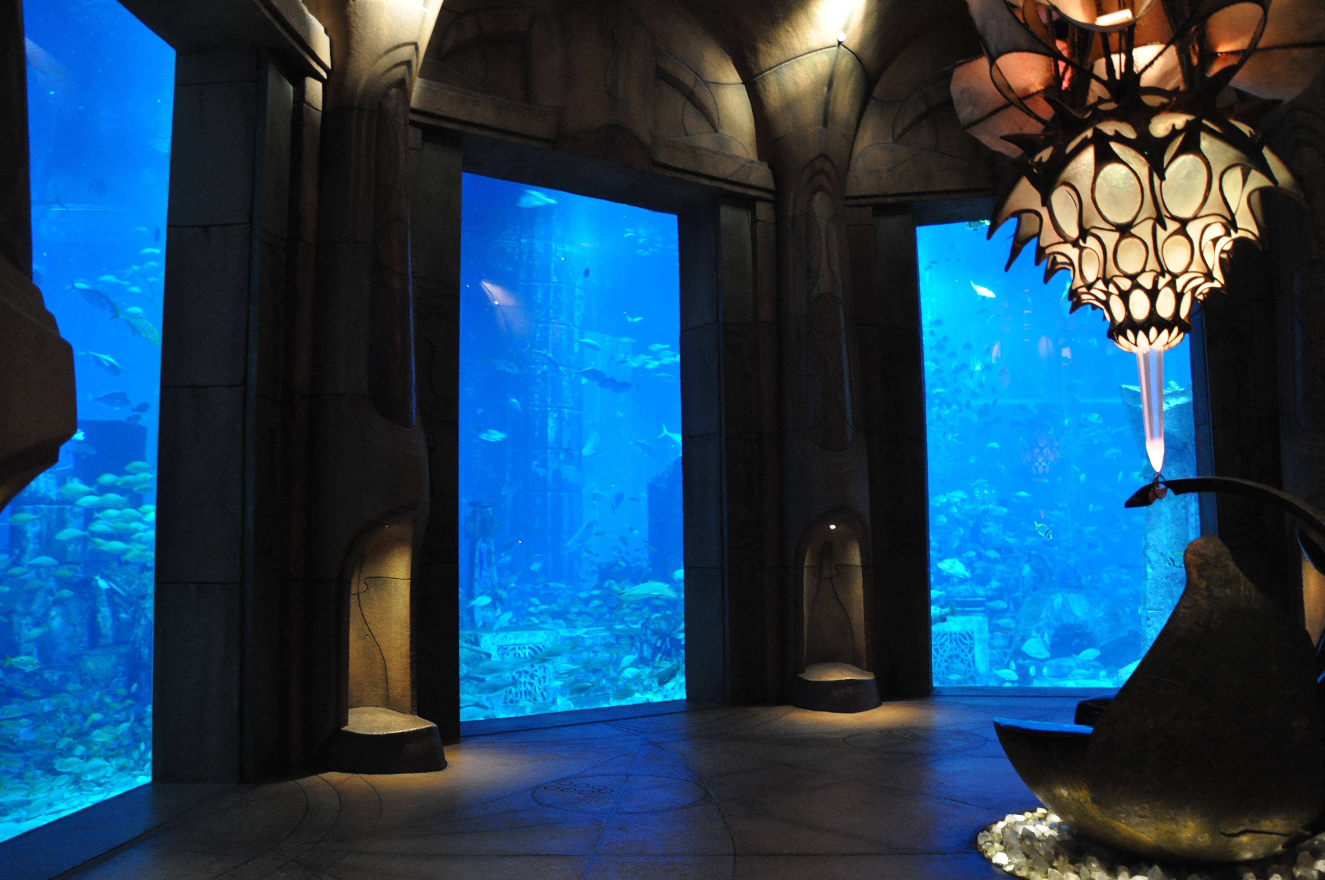The Underwater Nightclub In Dubai You Need To See
