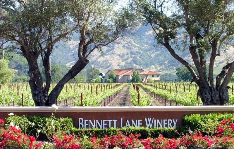 7 Reasons You Should Drive To Bennett Lane Winery in Calistoga Now