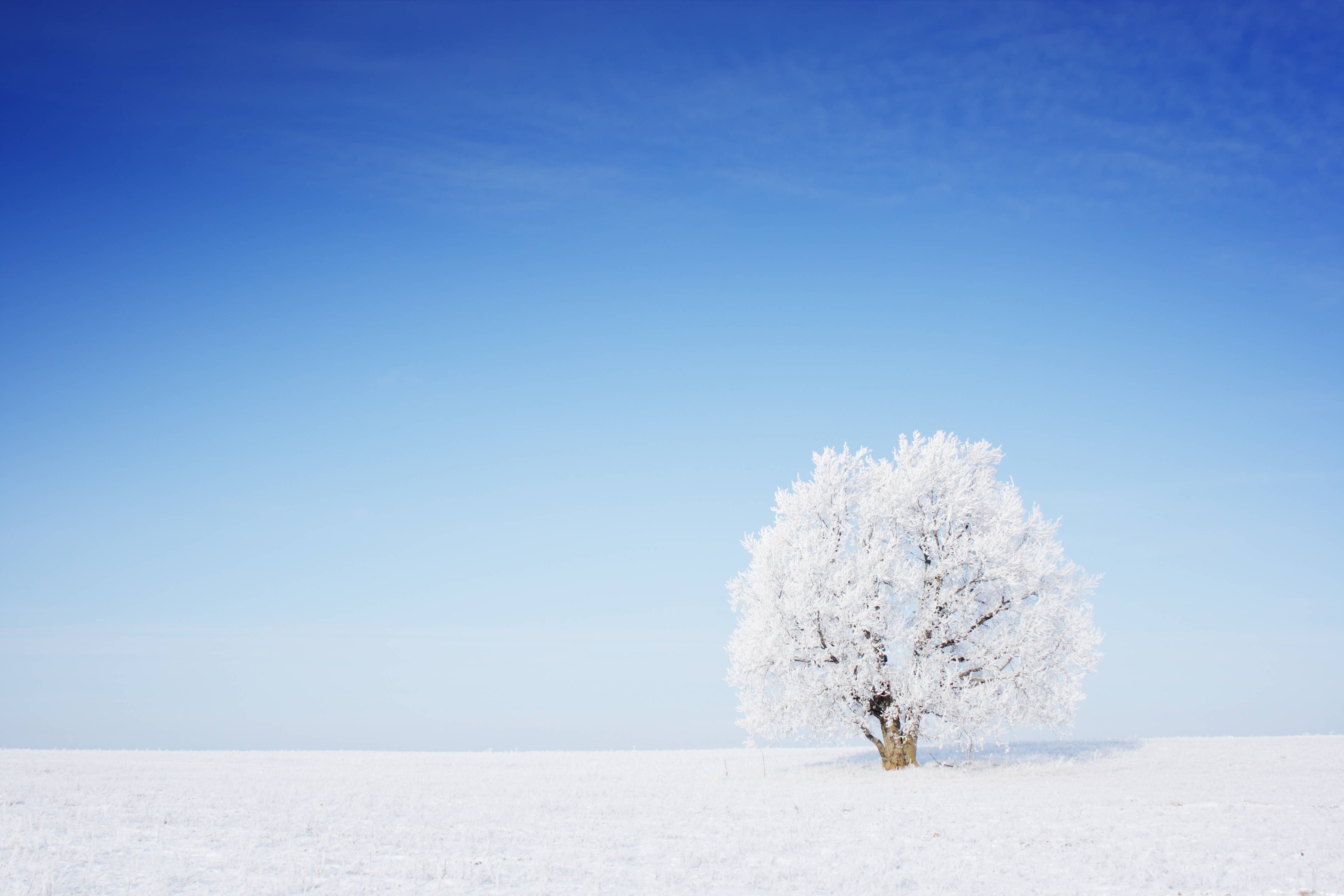 Haute Living’s Winter Instagram Winners Announced!