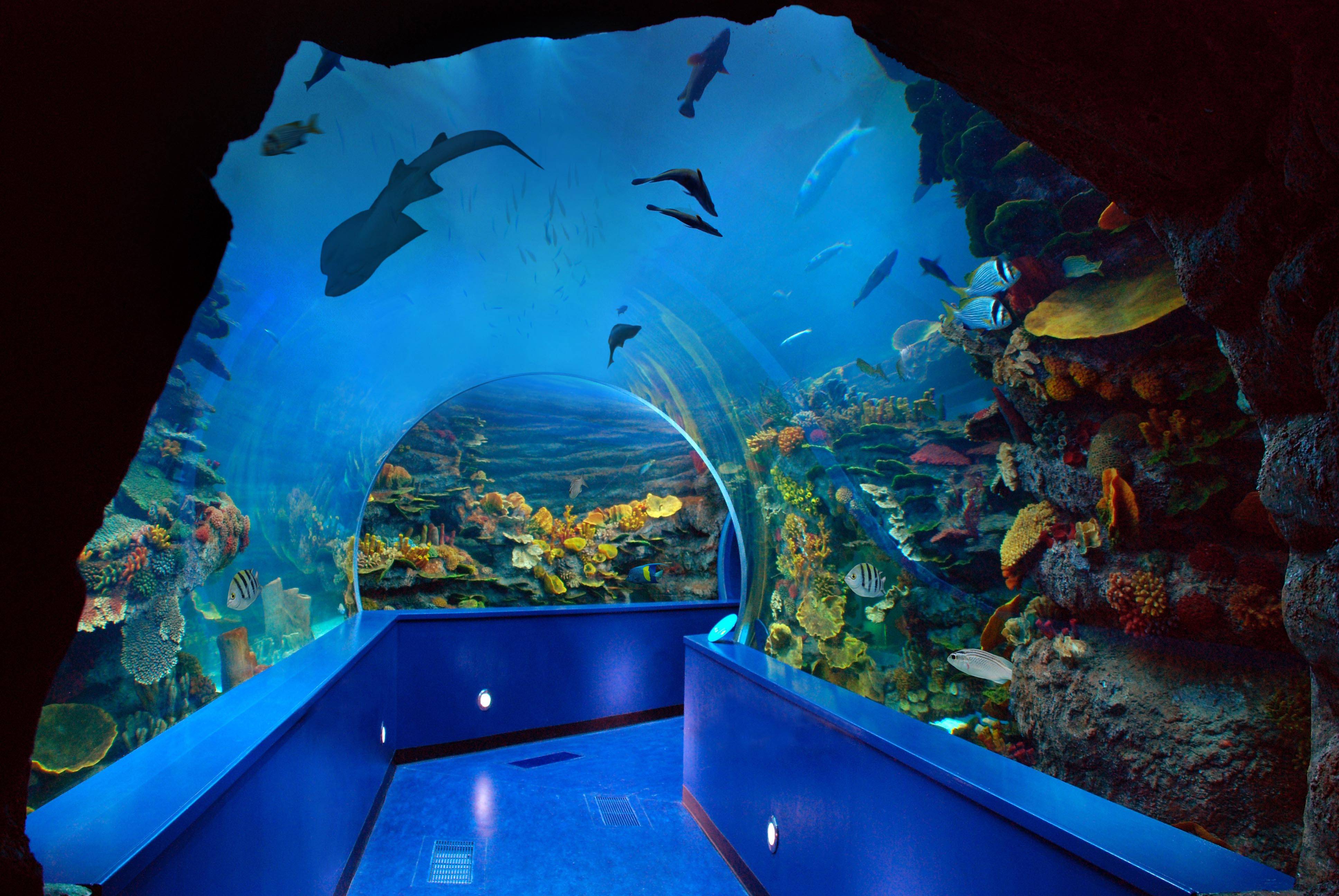 Haute Spots For A Family Day in the UAE