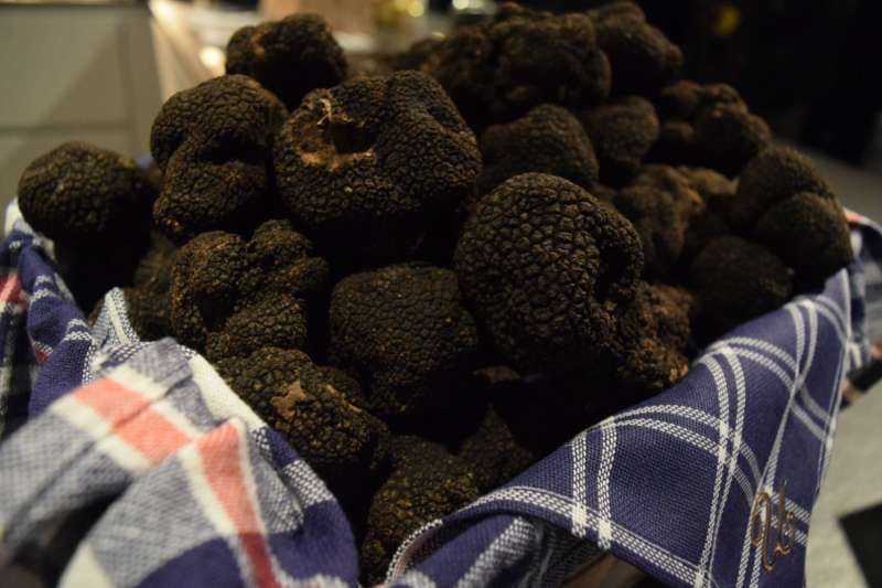 Urbani Truffles Opens America’s First Truffle Lab in NYC