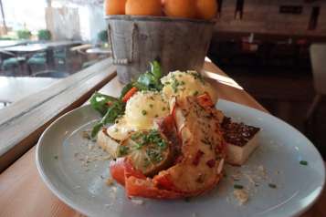 Lobster Benny Mozzo Centrale