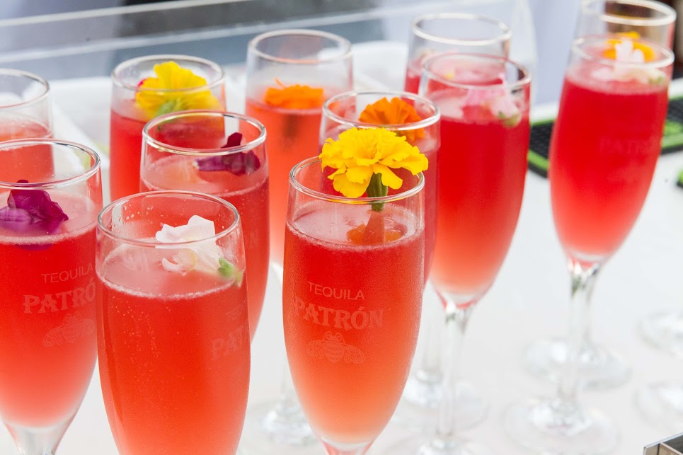 Haute Happenings: 8 June Events to Add to Your Agenda