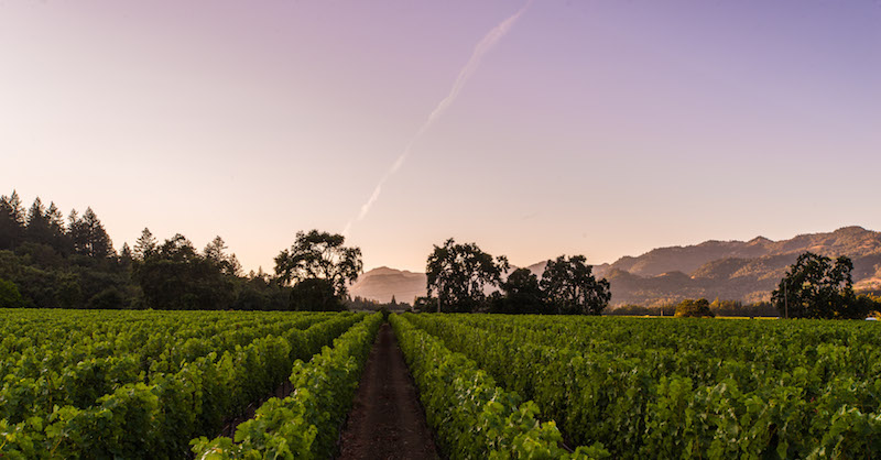 8 Wine Country Events That Celebrate the Bounty of Harvest