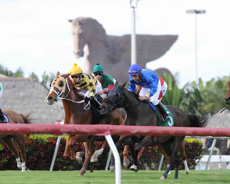 Pegasus World Cup Invitational - Image 2 - Photo Credit - Gulfstream Park