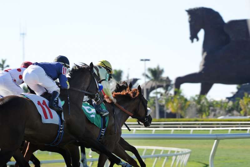 Pegasus World Cup Invitational - Image 3 - Photo Credit - Gulfstream Park