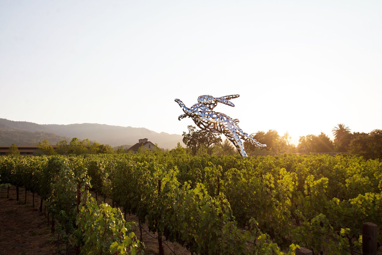 Quick Hits: 3 Wine Country Events for Your Weekend Escape