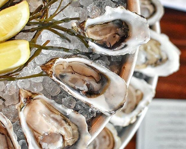 Celebrate National Oyster Day in Atlanta in 2017 Best Oysters
