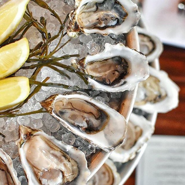 The Best to Ways to Celebrate National Oyster Day in Atlanta