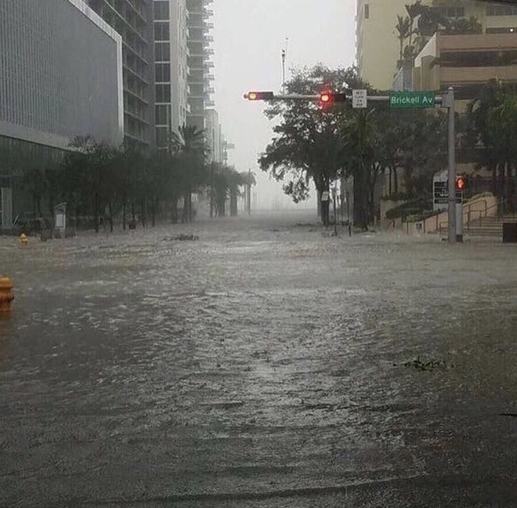 Weekend Update: Miami Recovers From Hurricane Irma