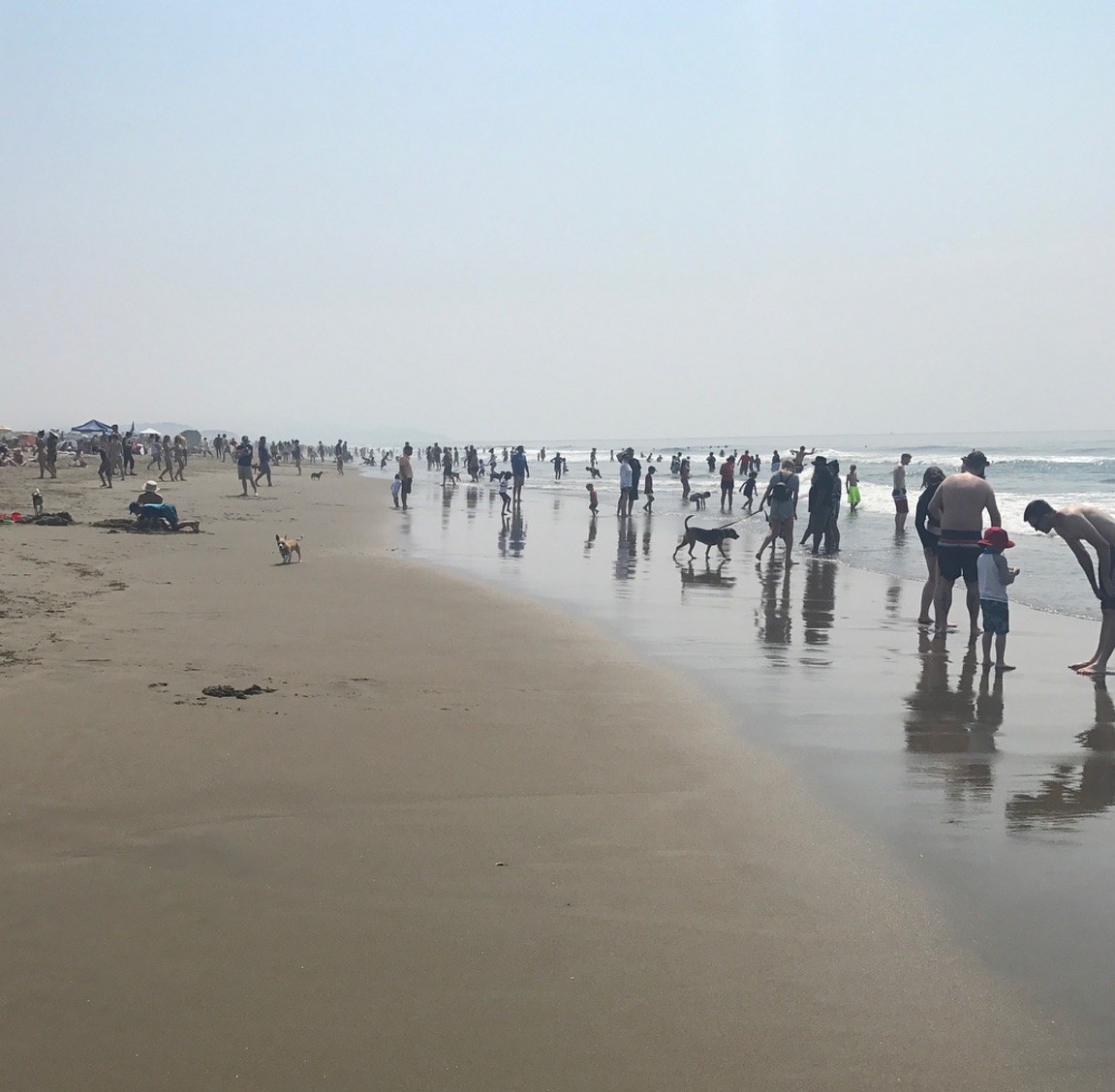 Weekend Roundup: Heat Wave; Burning Man