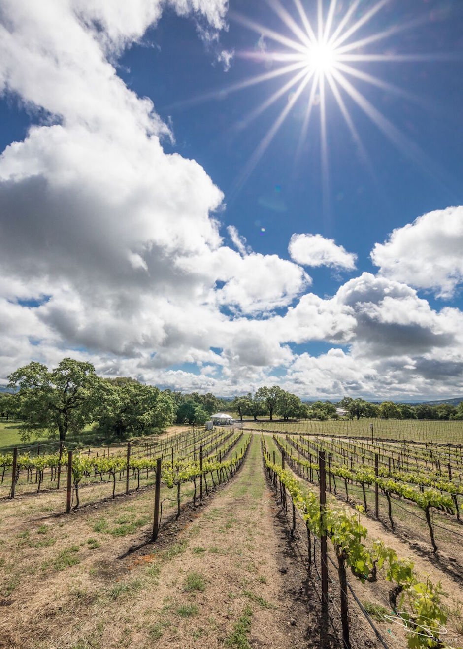 Tickets For Wonderful Spring Wine Weekends Now On Sale