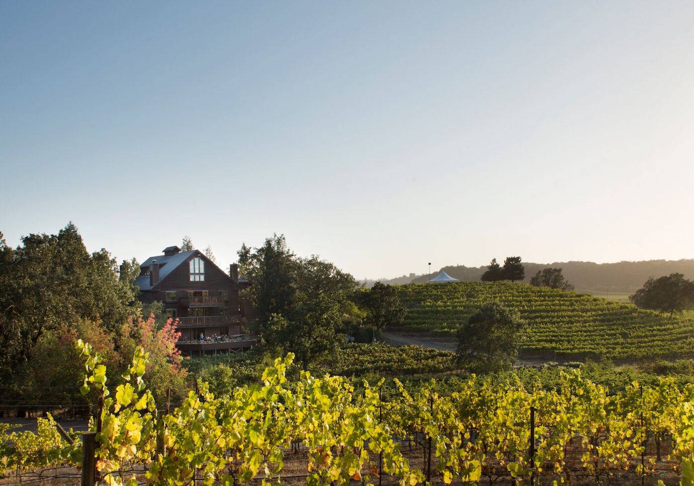 Why Your Next Trip To Wine Country Needs To Include This Vineyard