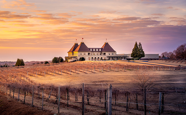 Experience A French Getaway At Chateau Elan Winery And Resort