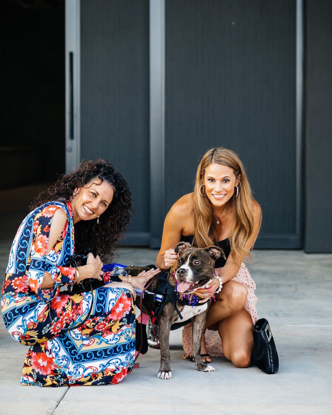 Wineapawlooza Raises $1.4 Million To Aid Animal Rescue