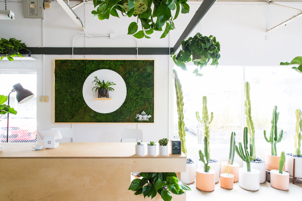 Leon & George Makes Premium Plant Shopping Easy