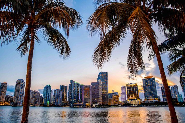 7 Things To Look Forward To In Miami For Winter/Spring 2019