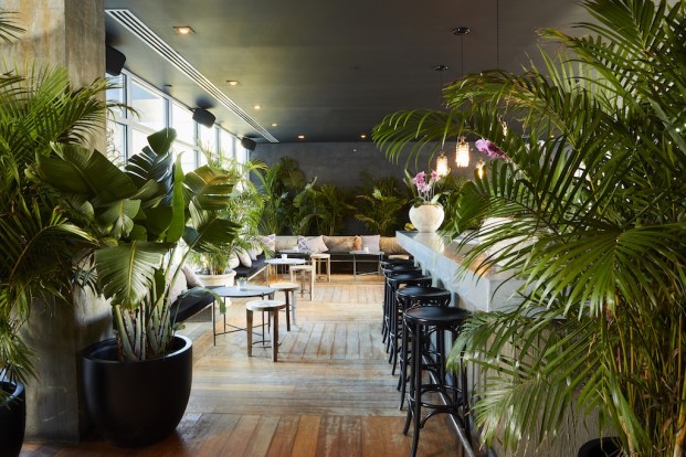 GITANO Jungle Room Opens At The James Hotel New York In SoHo