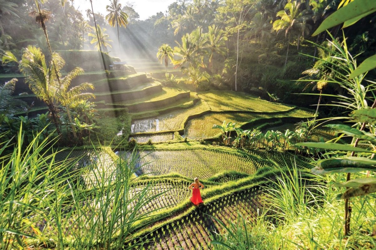 Come Fly With Me: A Look At The Four Seasons Luxe Private Jet Tours