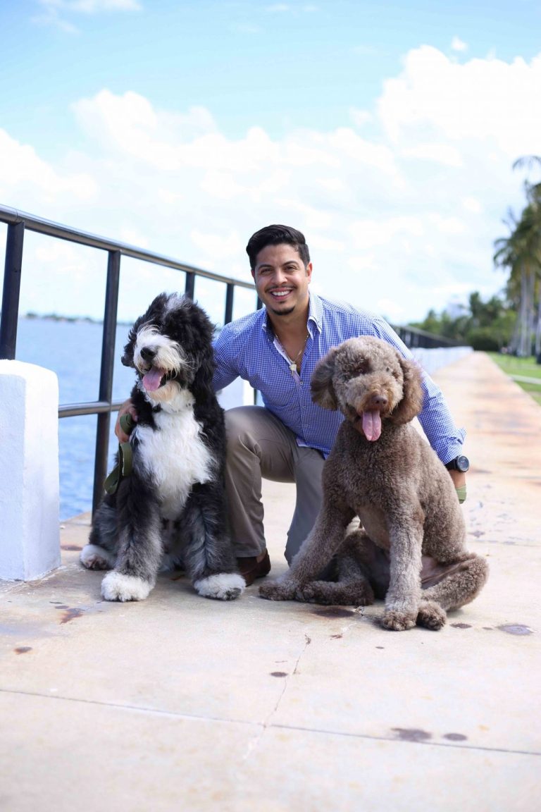 Pet Etiquette 101: How To Groom Courteous Canines And Kitties