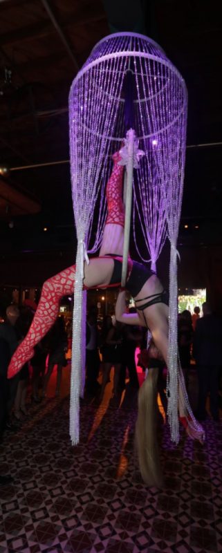 Aerial Dancer at CHICA Opening Party