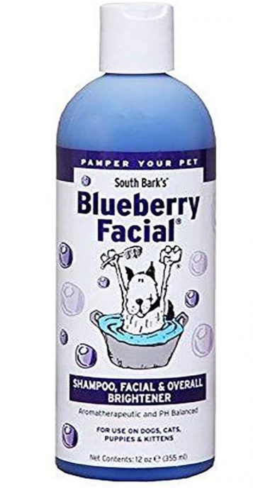 blueberry shampoo