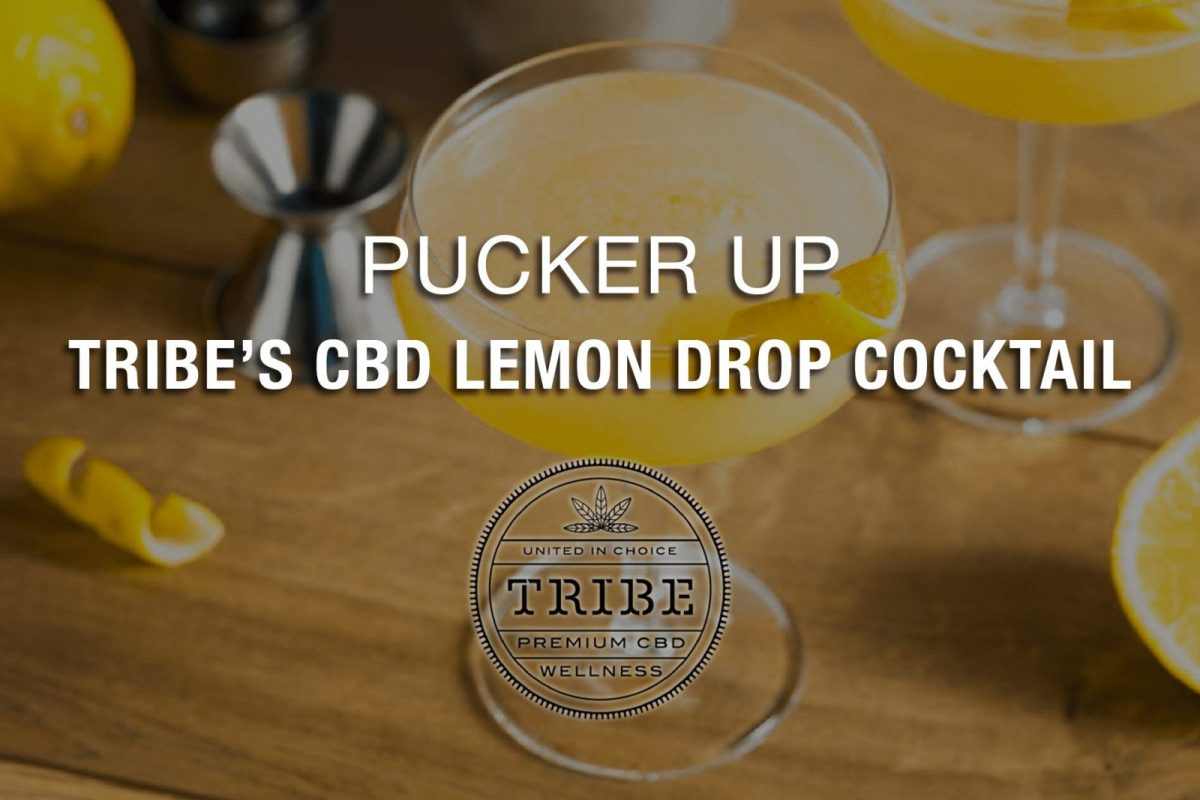 Pucker Up For Tribe’s CBD Lemon Drop Cocktail 