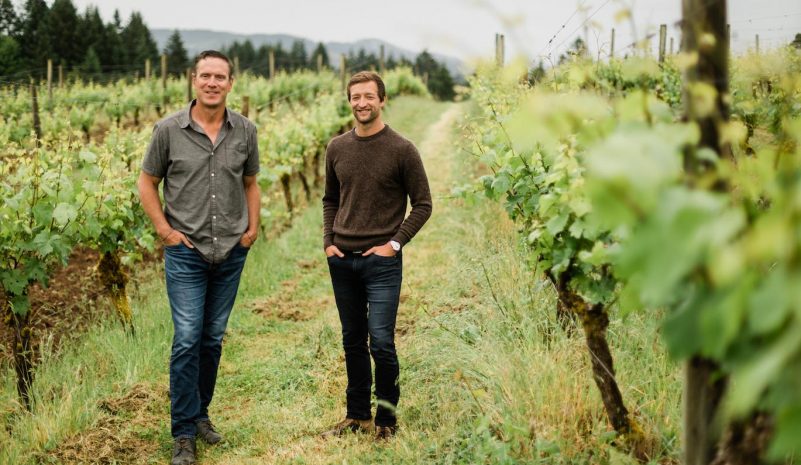 Drew Bledsoe wine? Retired athletes go into vineyard business