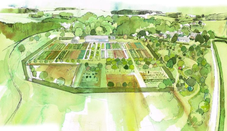 Why Forest Gardens Are The Next Frontier For The Great Garden Revolution