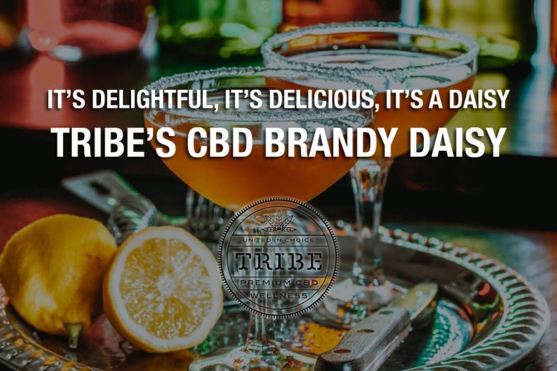 It’s Delightful, It’s Delicious, It’s A Daisy! — Try Tribe’s CBD Brandy Daisy