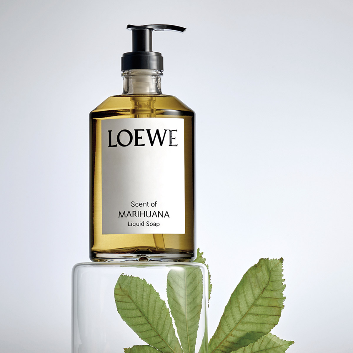 Loewe Luxury Soap