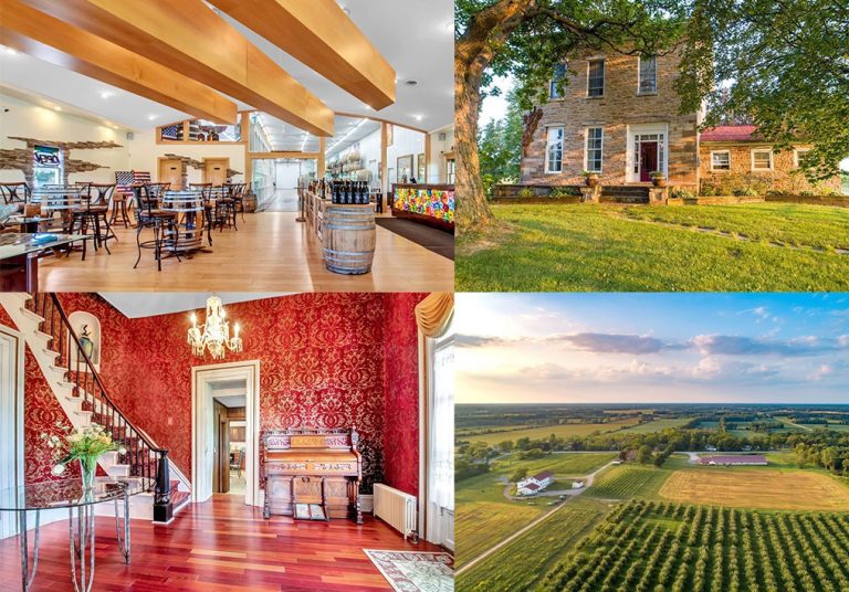 Black History Month: Niagara Estate Winery For Sale Has An Extensive History