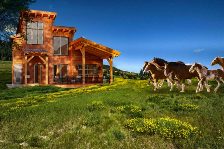 Clydesdale Outpost And Boca Boomers—Pick Your Pleasure