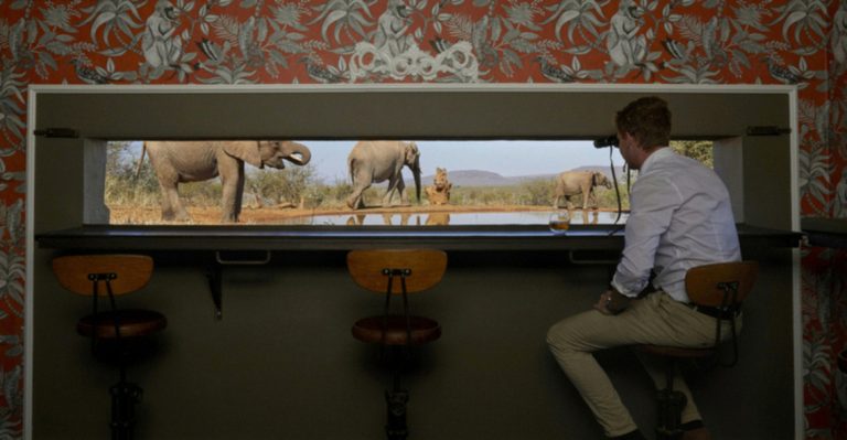 In 2022, Making Unforgettable Memories At Magnificent Molori Of South Africa