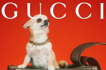 Introducing The Gucci Pet Collection For The Most Glamorous Pets