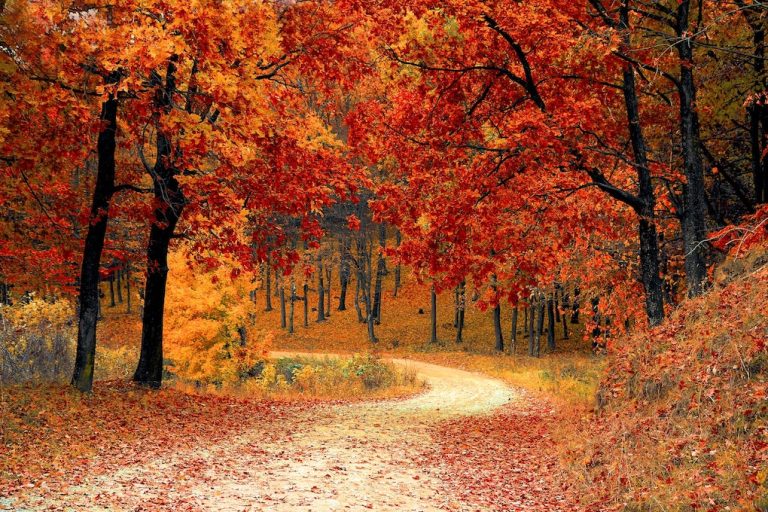 7 Ways to Get Out in Nature This Fall