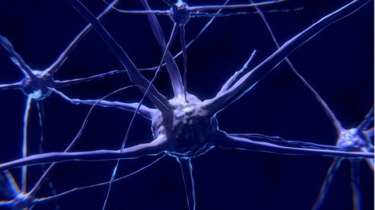 Brain Health: The Key To Unlocking Your Full Potential, Says WHO, BrainTree Nutrition Shares How To Take Care ...