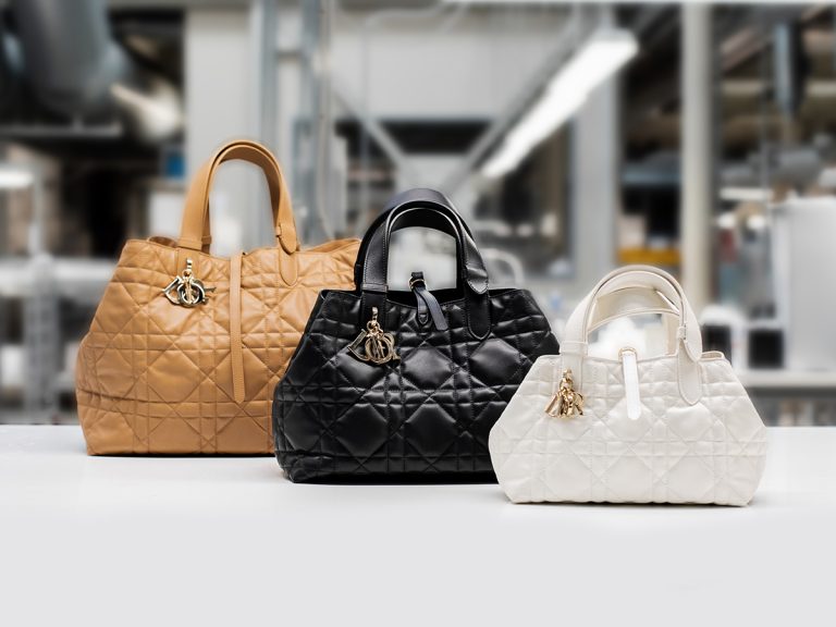 Introducing The Dior Toujours Handbag: Exploring The Timeless Elegance Of A Contemporary Icon