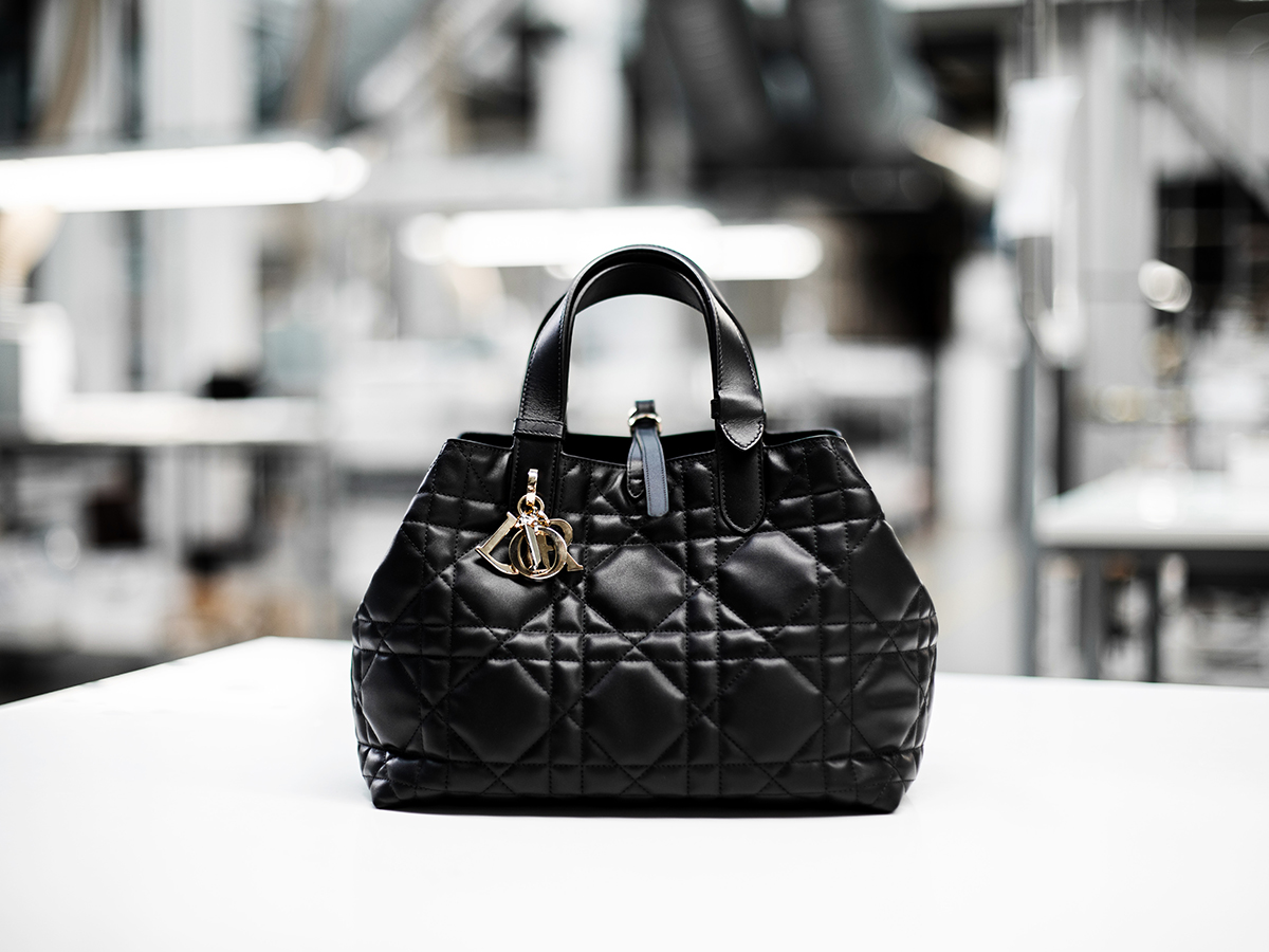 Handbags Black Christian Dior Ladies Bag, For Casual Wear