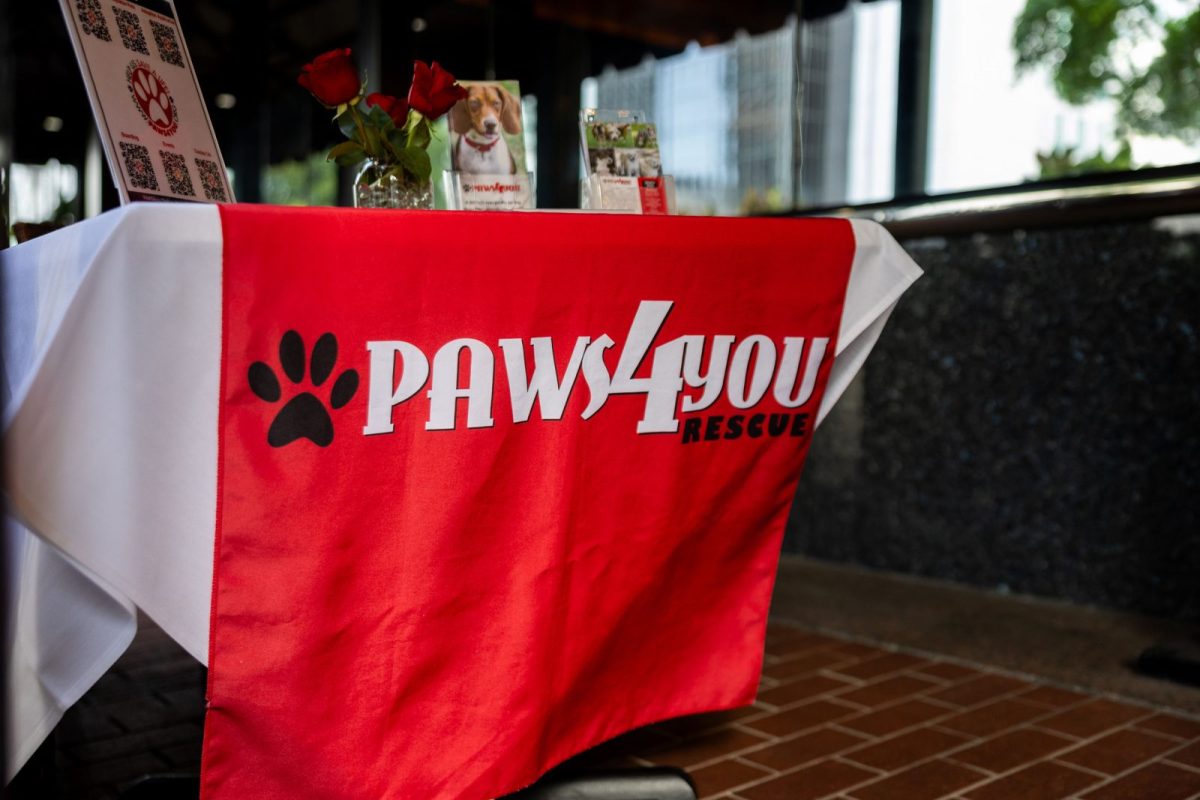 A Night Of Gratitude And Unity: PAWS4You’s Gala Preparations Kick Off In Style