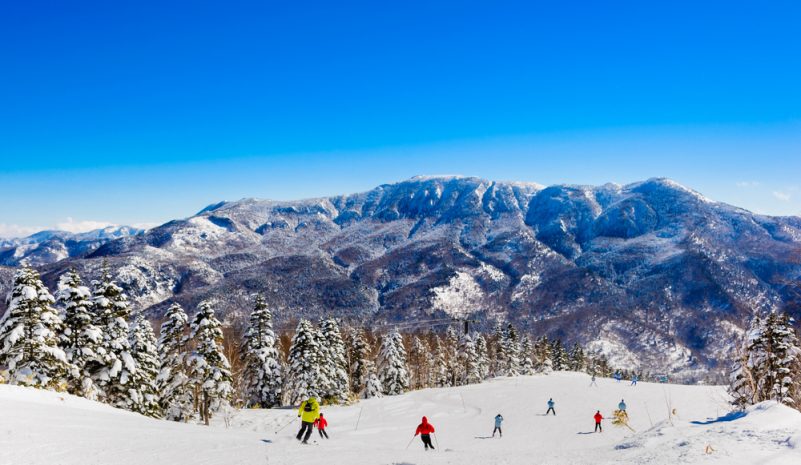 Best Ski Resorts in Japan  Dream with Luxury Escapes