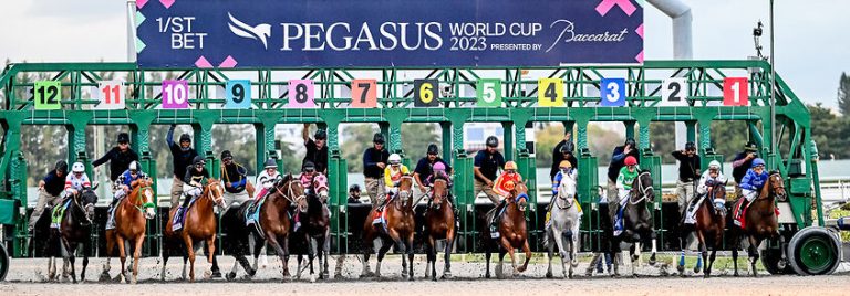 Calvin Harris Will Headline 2024 Pegasus World Cup Presented By Baccarat