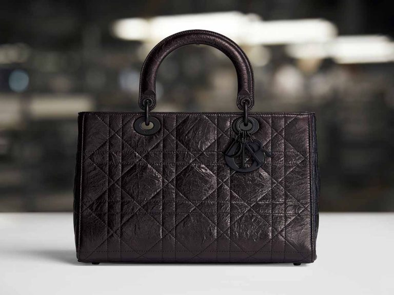 Introducing The New Dior Lady D-Sire Handbag