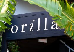 Savor the Flavors: A Night with Haute Leaders at Orilla Bar & Grill